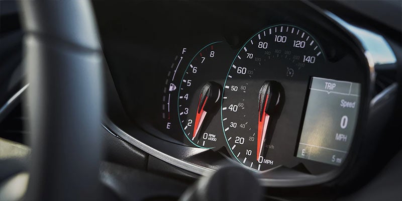 Speedometer and fuel gauge
