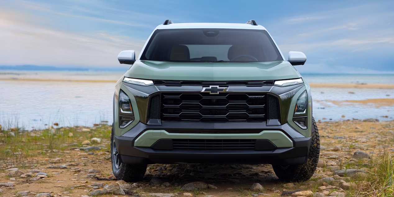 Front view of the grille and headlamps